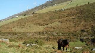 Fuentes del Nela - Sendero de los Ahidios