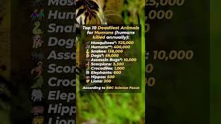 Top 10 deadliest animals for humans (humans killed annually). #top10 #deadliest #animals #humans