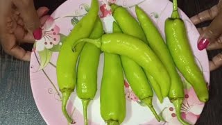 Stuffed green chilli, Bharwan Mirchi, besan bharwan mirchi, भरवां मिर्ची, बेसन की भरवां मिर्ची