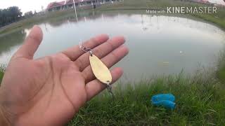 Casting Ikan Haruan|Spoon Sodo Tokwan