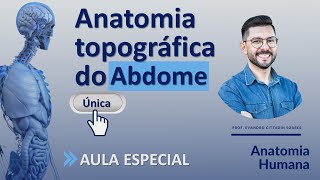 Anatomia do abdome - Irrigação e drenagem das visceras abdominais - Aula especial