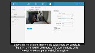 Impostazioni di visualizzazione della telecamera su NVR (telecamera a doppia luce)-IT