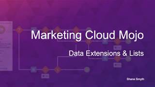 Data Extensions & Lists