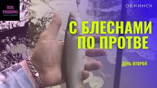 Второй день в Калужской области ! Река Протва ! Жерех на блесну !