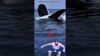 Surprised, suddenly there was a big orca whale behind