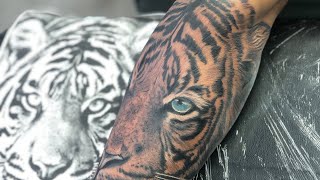 TIGER TATTOO