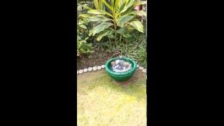 bowl umbrella fountain lahore