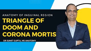 Triangle of Doom and Corona Mortis: Anatomy