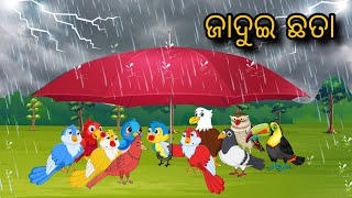 Jadui Chhata | Odia Gapa | Odia Cartoon | Odia Bird Stories | Odia Chadhei Gapa | Odia Moral Story |