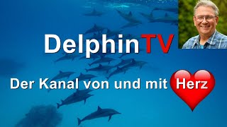 Spirituell bewusst und ganz genau - sind die Videos auf DelphinTV