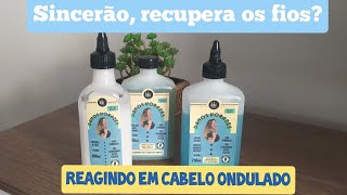 Danos Vorazes é bom para cabelo ondulado? resenha da linha completa