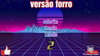 SEÑORITA camila cabello versao forro