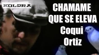 "CHAMAMÉ QUE SE ELEVA" 📻 Coqui Ortiz - VIDEOCLIP - Canción Chaqueña 🎙️