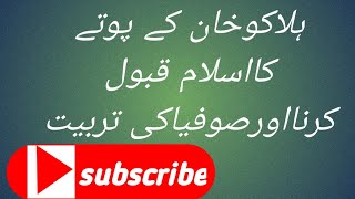 ہلاکو خان کے پوتے کااسلام قبول کرنا اور صوفیاء کی تربیت