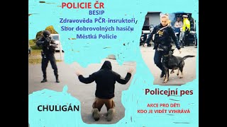 POLICEJNÍ PES -  výcvik psů.