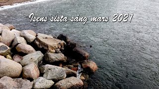 Isens sista sång mars 2021 The last song from the ice March 2021