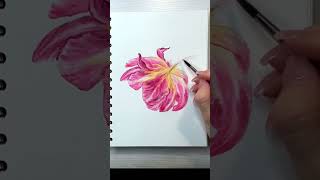 #drawing #watercolour #aquarelle #painting #draw #акварель #рисование #художник #drawingtutorial