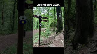 LUXEMBOURG 2024 #Luxemburg #nature #beauty #janesanders