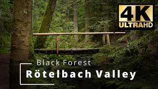 Rötelbach Valley | Stubenfelsen | Black Forest | Rötelbachtal | Schwarzwald | Calw | 4K Ultra HD