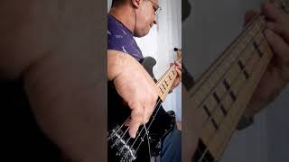 Voyage Voyage - Desireless - George Mendonça Bass