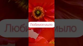 Любимое жидкое мыло #essense&Co #мыло #дикий #мак #красный #эфирное #масло