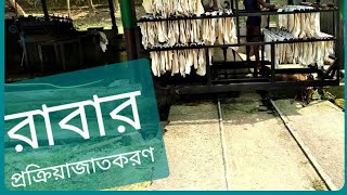 রাবার সংগ্রহ, প্রক্রিয়াজাতকরণ ও RSS প্রস্তুত পদ্ধতি| রূপাইছড়া রাবার বাগান| বাহুবল| হবিগঞ্জ| Rubber