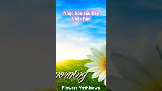 🎶Nhạc hòa tấu hay Nhật Bản - Flowers Yoshikawa This Earth | Tin học và Cuộc sống ❤❤❤