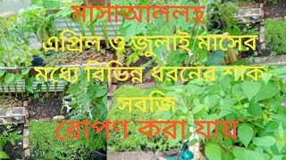 কিভাবে সহজে জুলাই মাসে বিভিন্ন ধরনের শাক সবজি চাষ করা যায়How to easier waygrow#bangladeshi #spanish