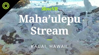 Shady Spot at Maha'ulepu Beach - Kauai, Hawaii, USA [Slow VR 5K 360° Video & Sound]