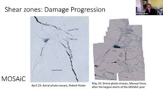 Multi-scales in sea ice: A review of sea ice structure and how it relates to mechanics