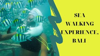 Underwater Sea Walking Bali Experience