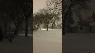 Early morning Blowing Snow in Winnipeg, Manitoba Canada. White is beautiful. February 26,2024.