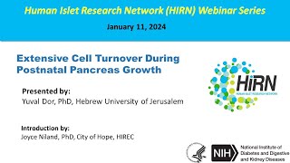 HIRN Webinar: Extensive Cell Turnover During Postnatal Pancreas Growth