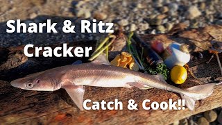 Venomous Shark Catch & Cook!