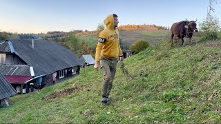 Так выглядит осенняя жизнь большой семьи в горной деревне.