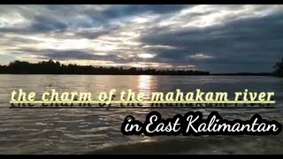 The charm of the Mahakam River in East Kalimantan, Rayuan Pulau Kelapa