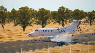 Arizona, How the Mesa Plane Crash Happened, Falcon Field Airport