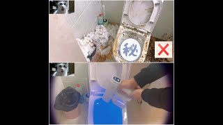 (Clean very dirty toilets)تنظيف للحمامات القذرة المهملة من سنوات بطريقة مزهلة 🤔🤔🤔🤔