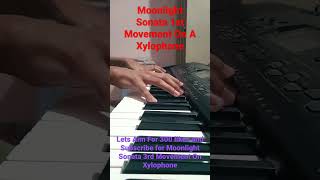 Moonlight Sonata 1st Movement On Xylophone