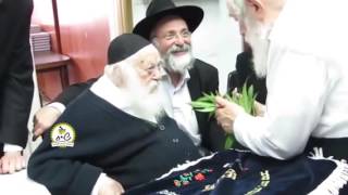 R chaim marijuana