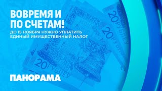 Что нужно знать о едином имущественном налоге? Панорама