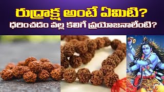 Rudraksha అంటే ఏమిటి..? అవి ధరిస్తే చేకూరే ప్రయోజనాలేంటి..? | రుద్రాక్ష - శివుడు | PMR News