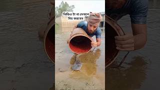 মাছ ধরা দেশ্যৃ#fishing #video #funny