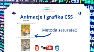 Jak dodać saturacje zdjęcia? Metoda saturate() | #73. CSS – filtry | CSS filters