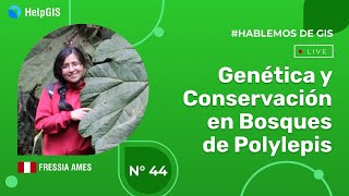 🌳🔬🌳 Genética y Conservación en Bosques de Polylepis | FRESSIA AMES | Hablemos de GIS 44