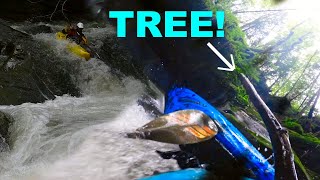 Always WATCH OUT for TREES! | Kayaking Le NOM