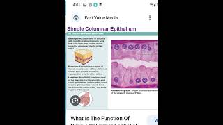 epithelium types|histology lectures 4|Fcps part-1 preparation forum|how to pass Fcps part-1