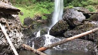 The stunning views of Silver Falls State Park near Salem, Oregon