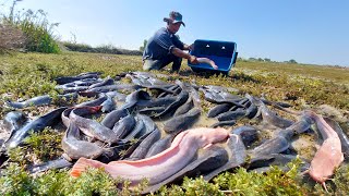 Best fishing skill, A fisherman catch a lot of fish under moss at field