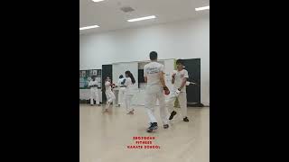 Karate sparring techniques - Shotokan training and fitness - Usu 🥋